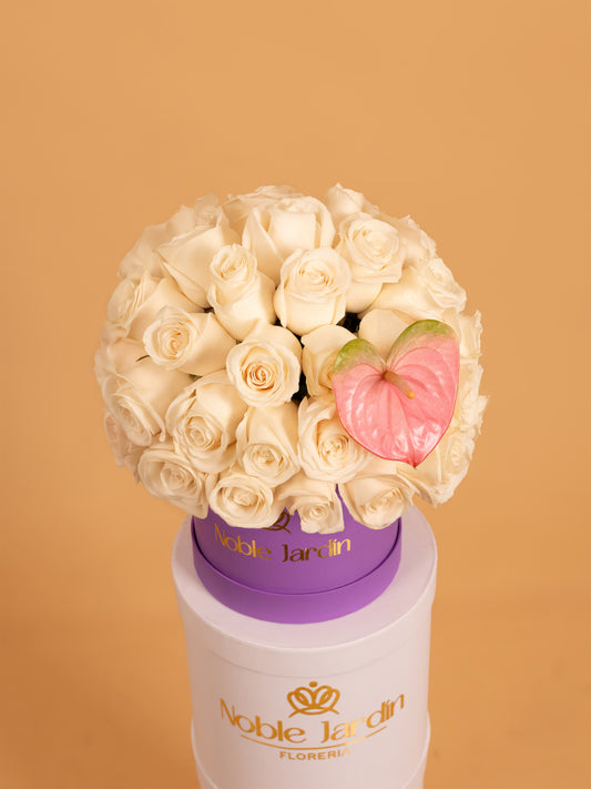 Box Letizia de España