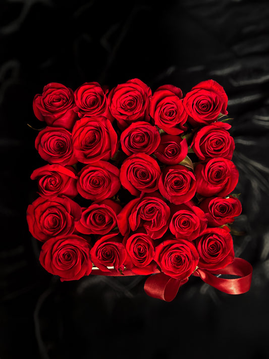 Box Adela de Normandía