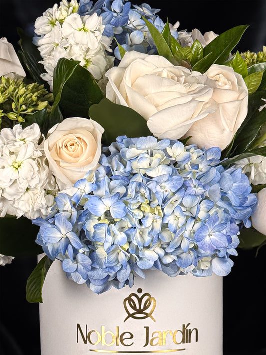 Box Leopoldo de Austria