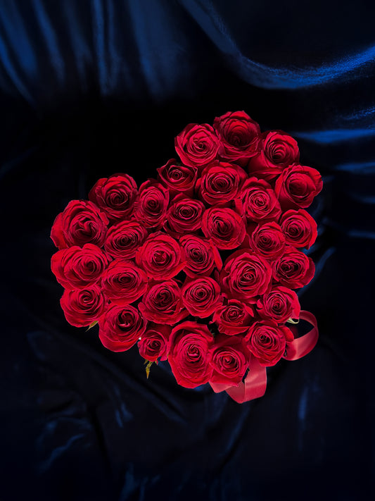 Box Isabel de Aragón