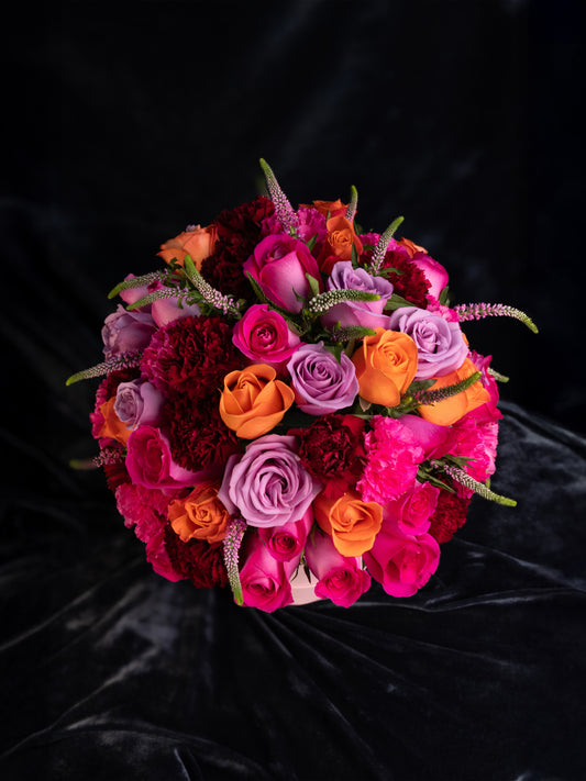 Box Cristina de Suecia