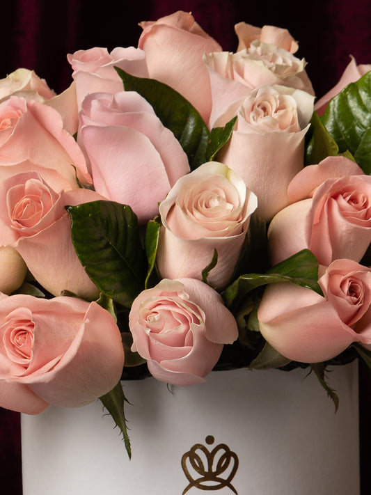 Box Dama de Borgoña