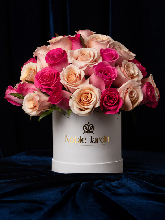 Box Isabel de Baviera