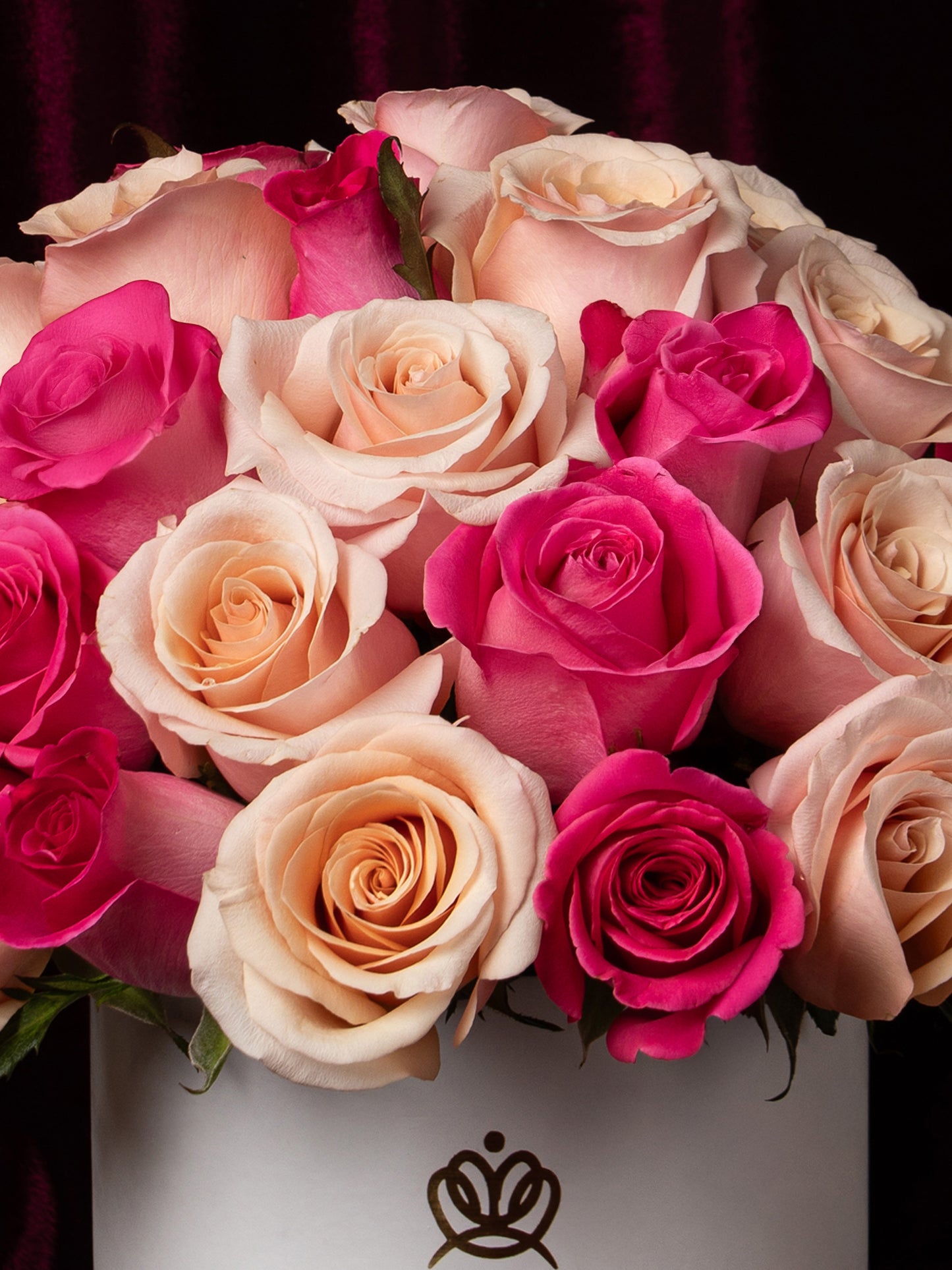 Box Isabel de Baviera