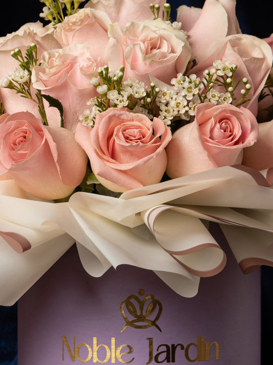 Box Duquesa Anastasia