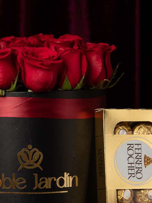 Box Napoleón Bonaparte