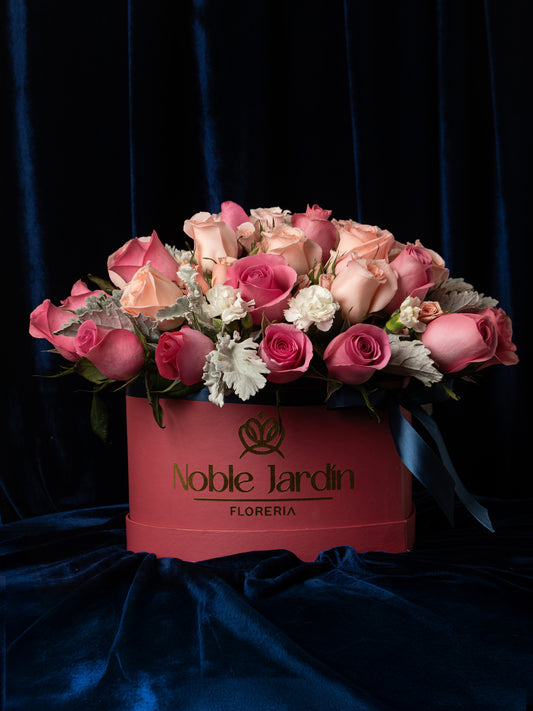 Box Isabel La Britanica