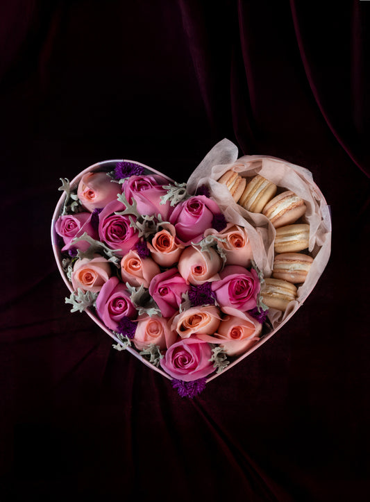 Box Corazon Trovador