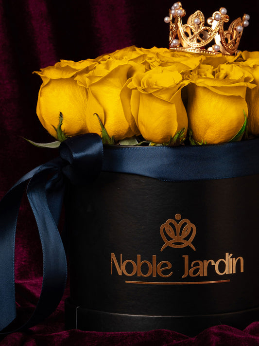 Box Reyes Católicos