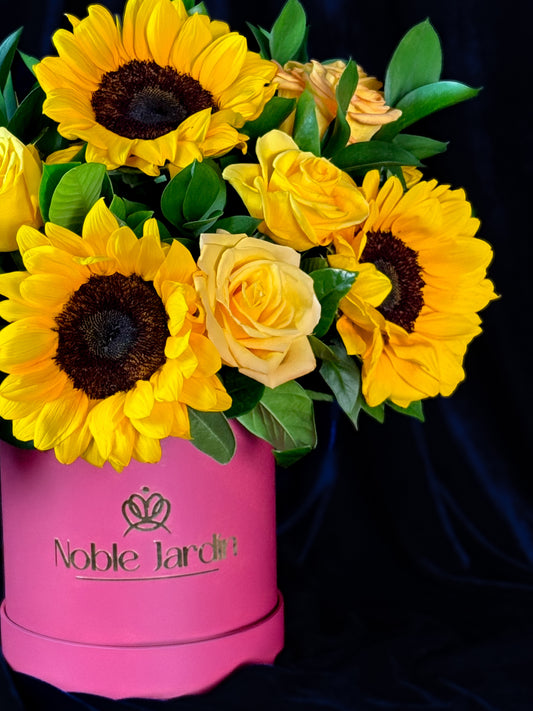 Box Carlos I de Portugal