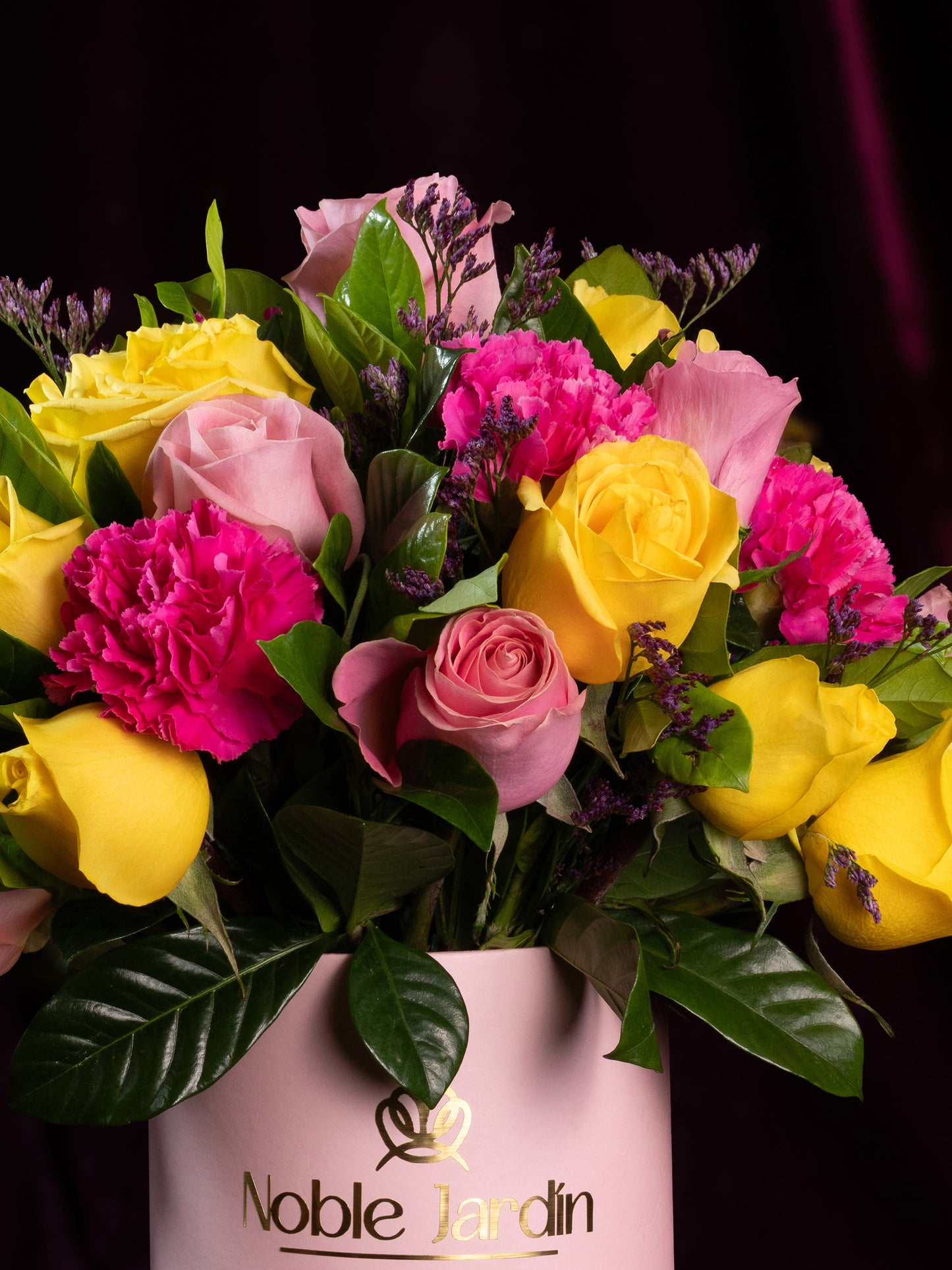 Box Carlota de Monaco