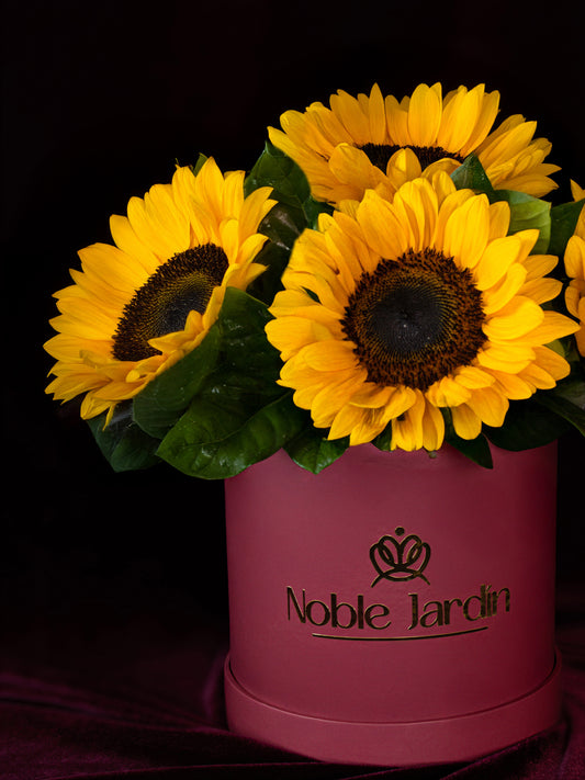 Box Duquesa de Torroja