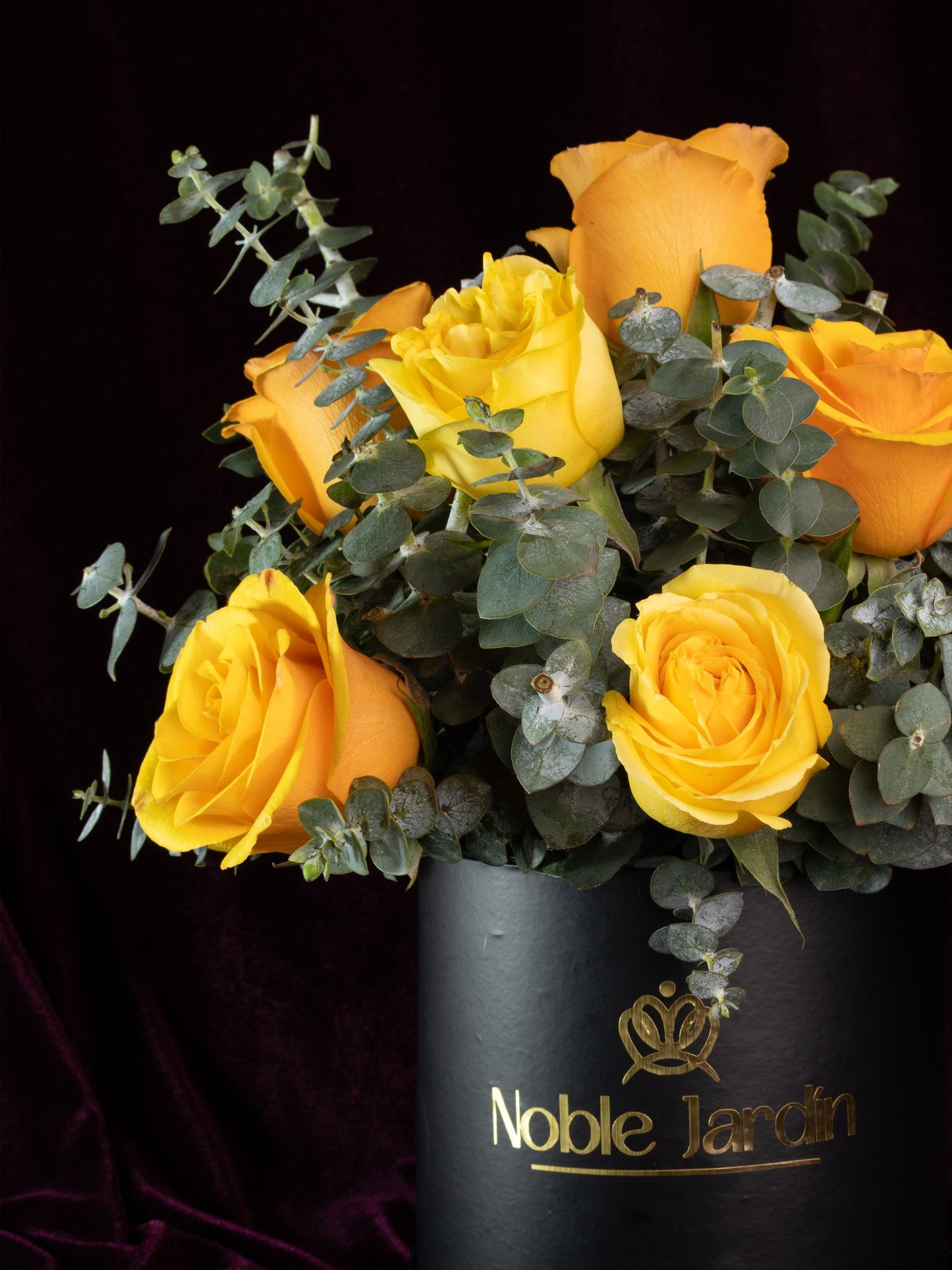 Box Conde de Flandes