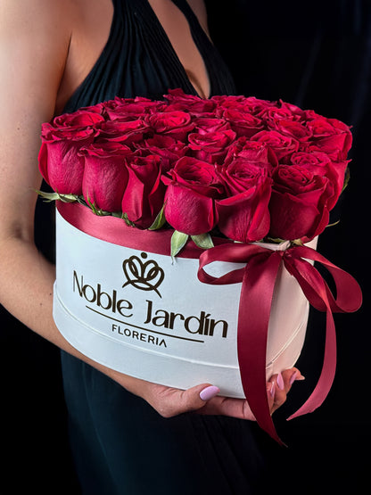 Box Isabel de Aragón