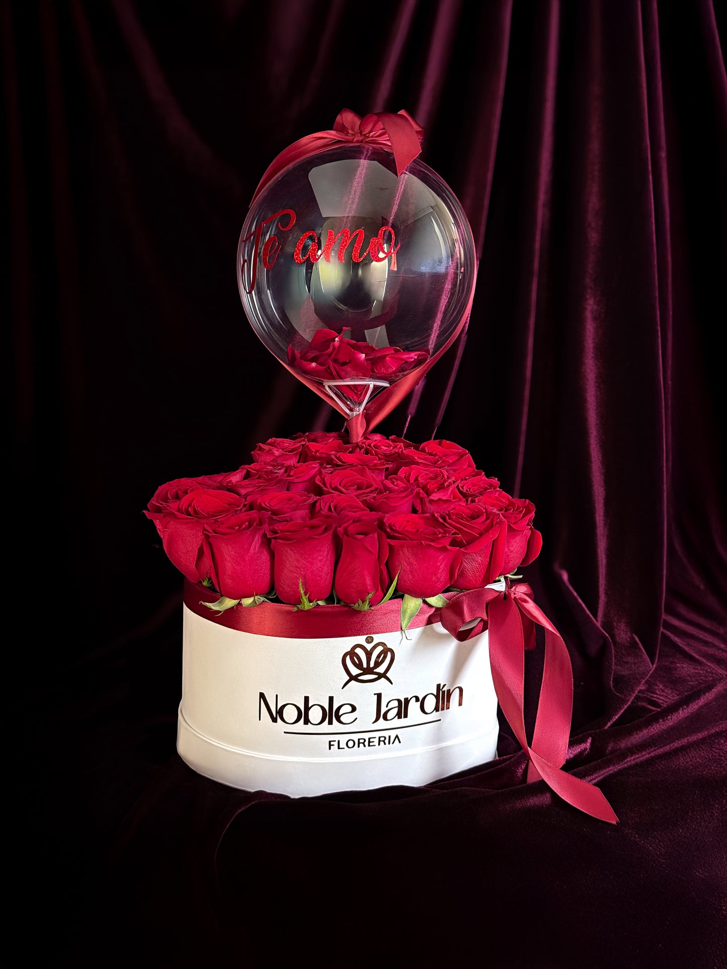 Box Isabel de Aragón