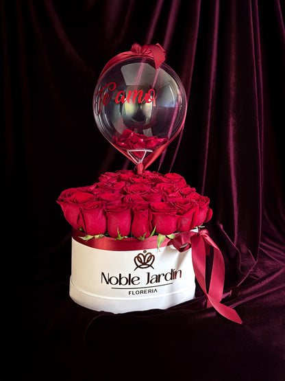 Box Isabel de Aragón