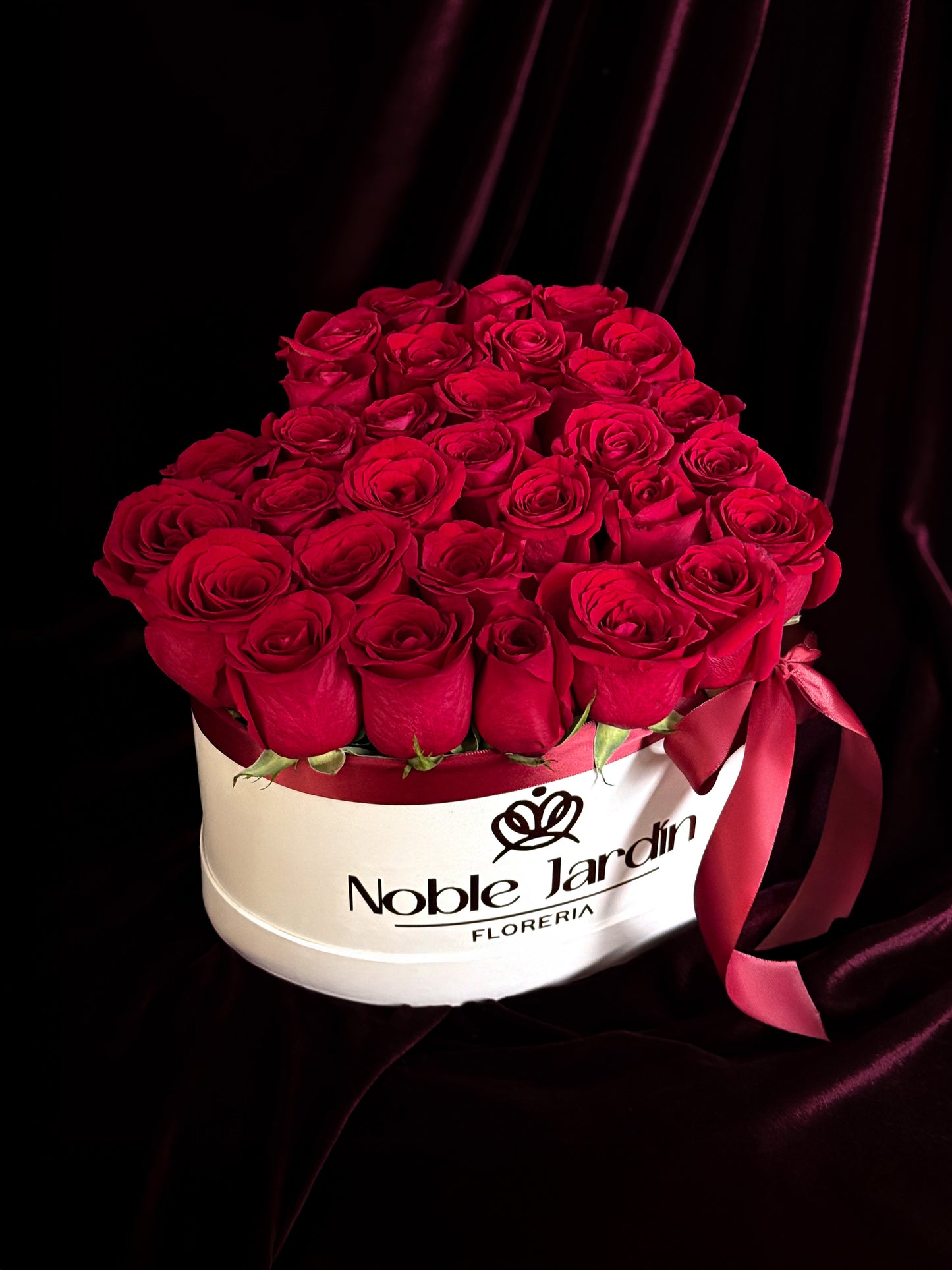 Box Isabel de Aragón