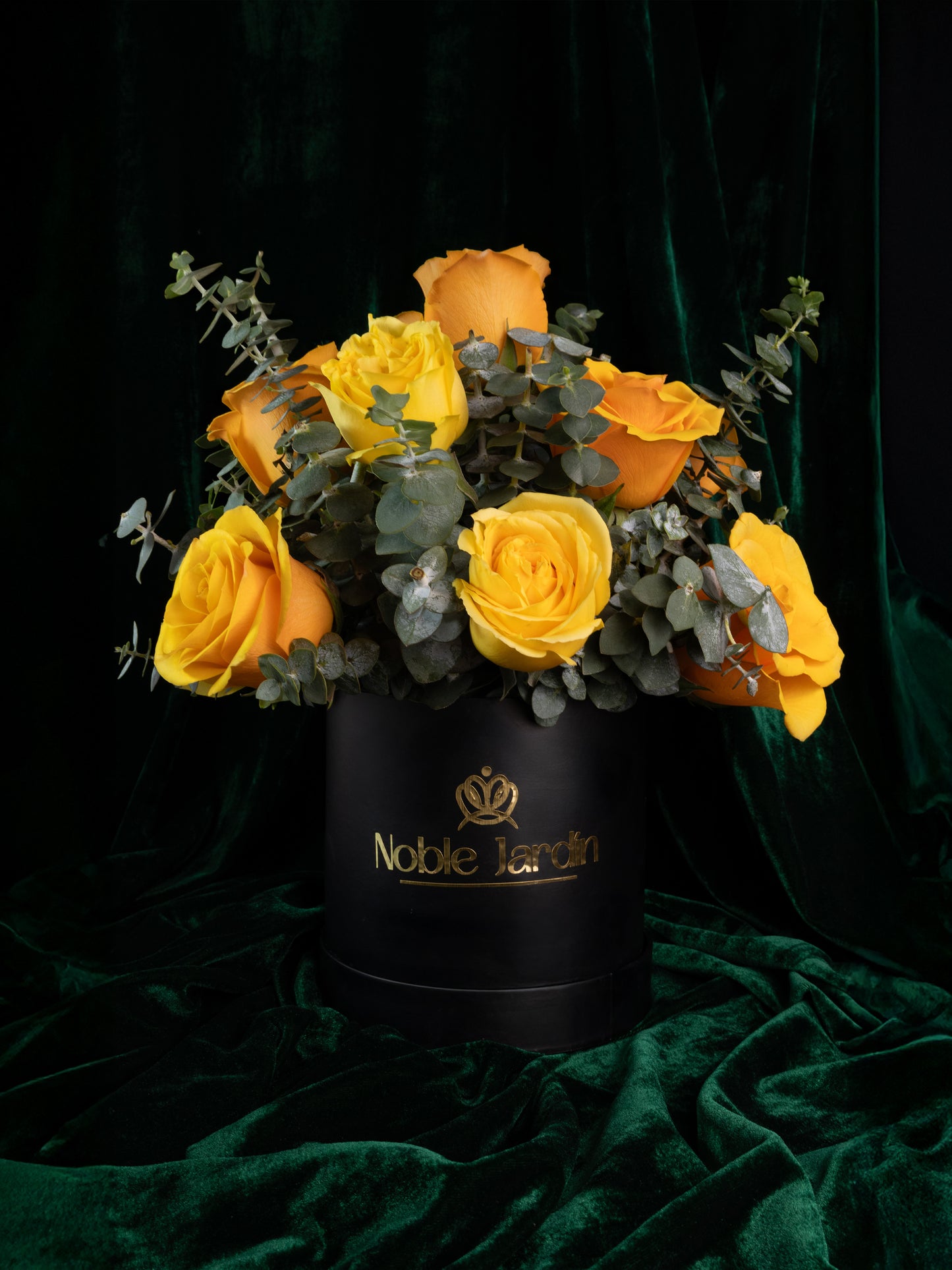 Box Conde de Flandes