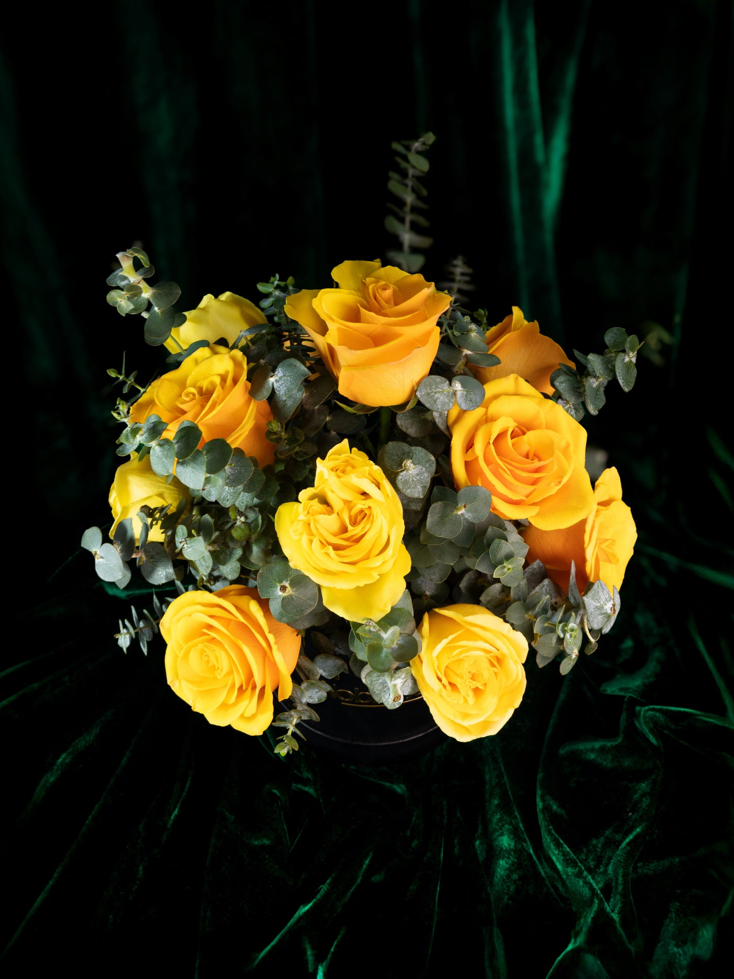 Box Conde de Flandes