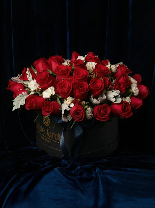 Box Guillermo II “el Rojo”