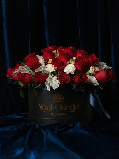 Box Guillermo II “el Rojo”