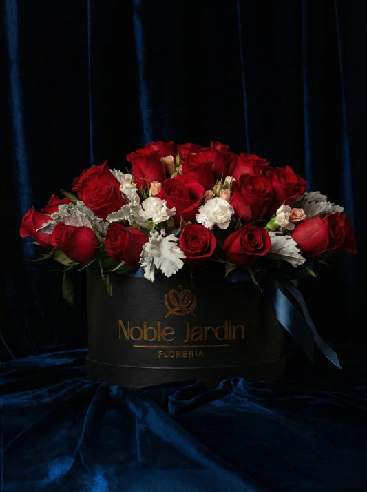 Box Guillermo II “el Rojo”