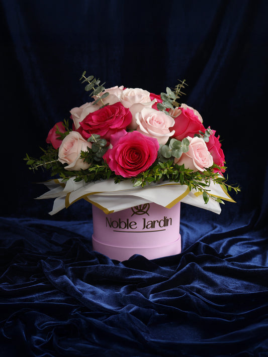 Box Emperatriz Cleopatra