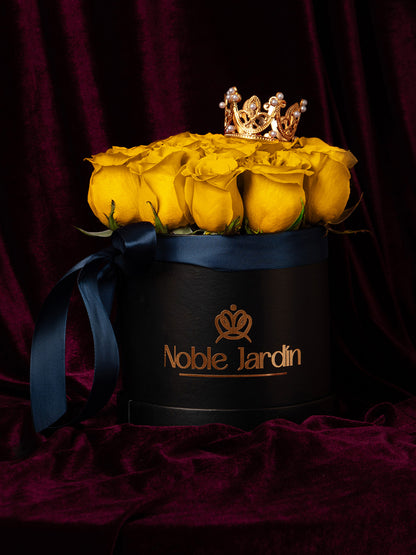 Box Reyes Católicos