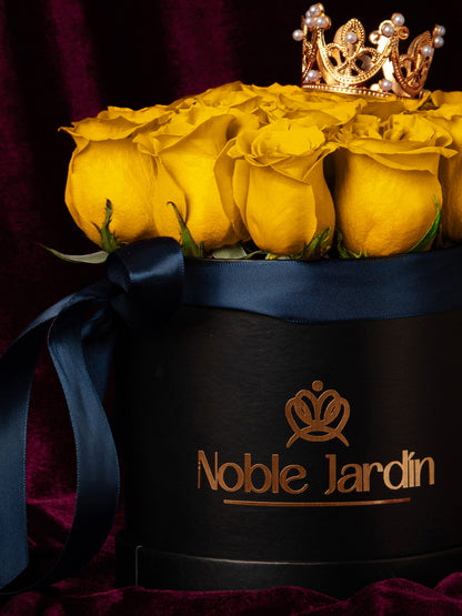 Box Reyes Católicos